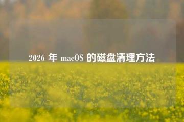 2026 年 macOS 的磁盘清理方法