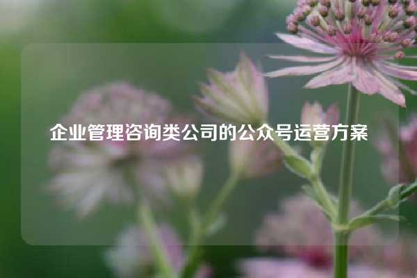 企业管理咨询类公司的公众号运营方案(文末送福利)