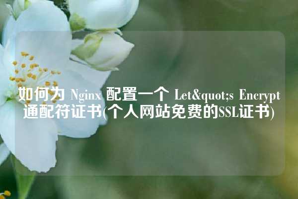 如何为 Nginx 配置一个 Let`s Encrypt 通配符证书(个人网站免费的SSL证书)