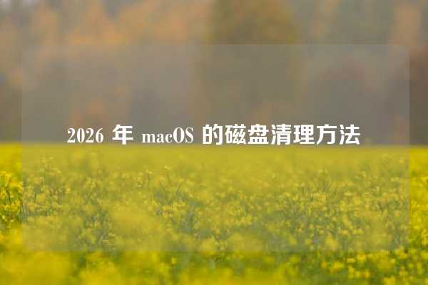 2026 年 macOS 的磁盘清理方法